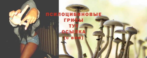 каннабис Майский