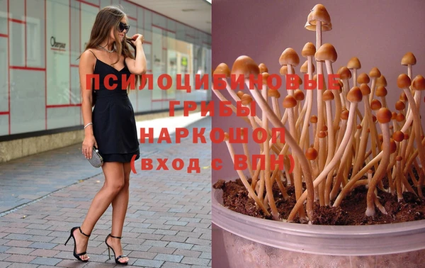 каннабис Майский