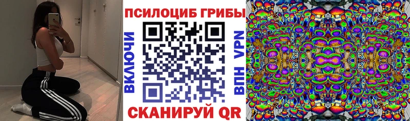 Купить закладки  Котельнич  Галлюциногенные грибы мухоморы 