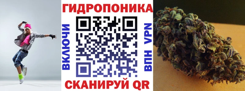 Купить закладки  Котельнич  Бошки марихуана Ganja 